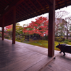 達磨寺の紅葉【法輪寺】