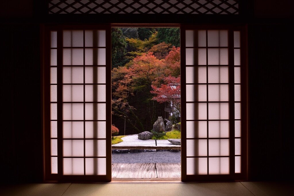 弥陀と秋を愛でる【古知谷阿弥陀寺】