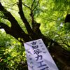 古知谷カエデ