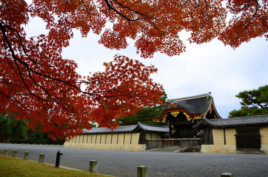 去年の京紅葉１