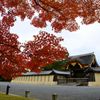 去年の京紅葉１