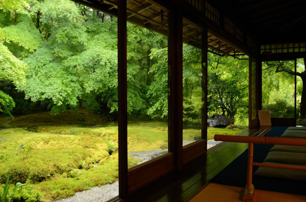 新緑の瑠璃光院４