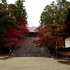 洛秋の宴【神護寺　その２】