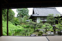 水無月（6月）の花・両足院