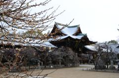 そうだ京都を写そう！北野天満宮２