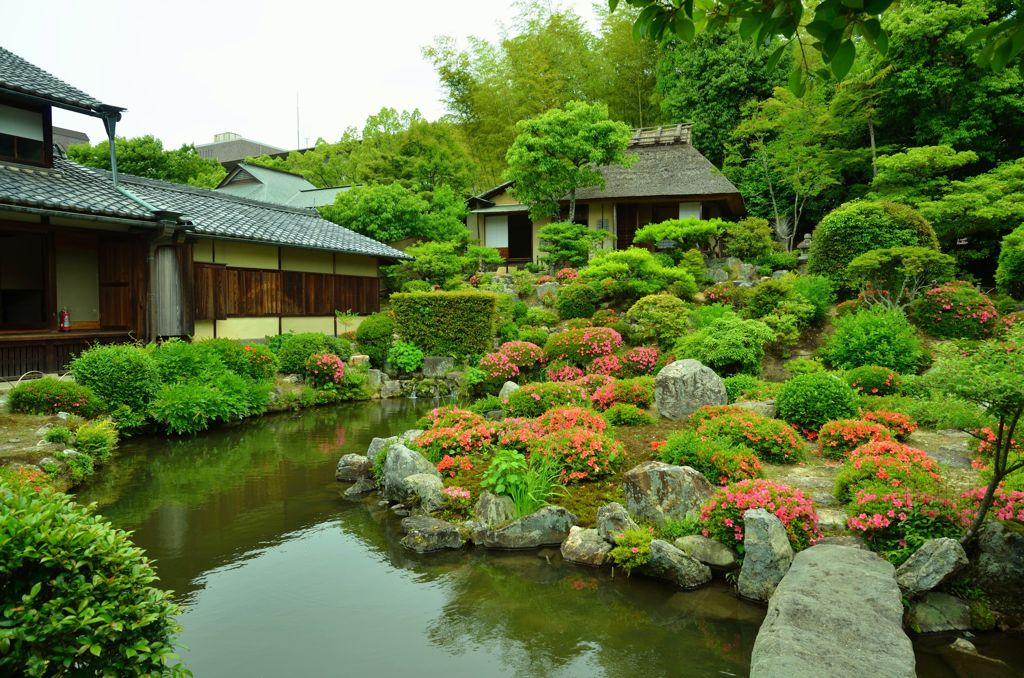 等持院・皐月７