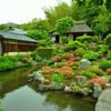 等持院・皐月７