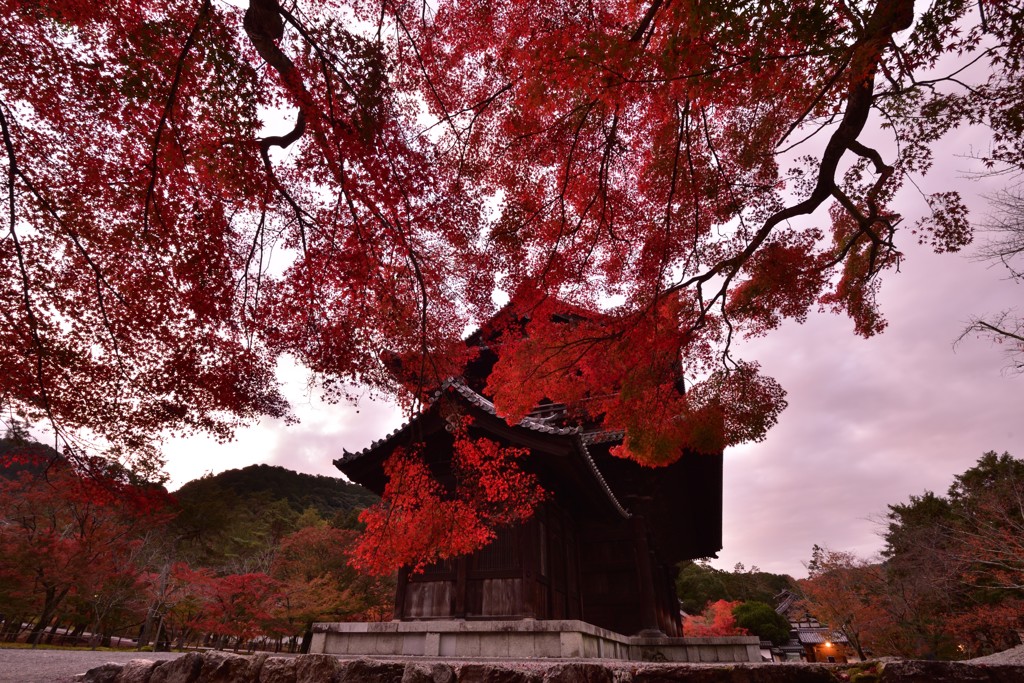 盛秋の山門【南禅寺】