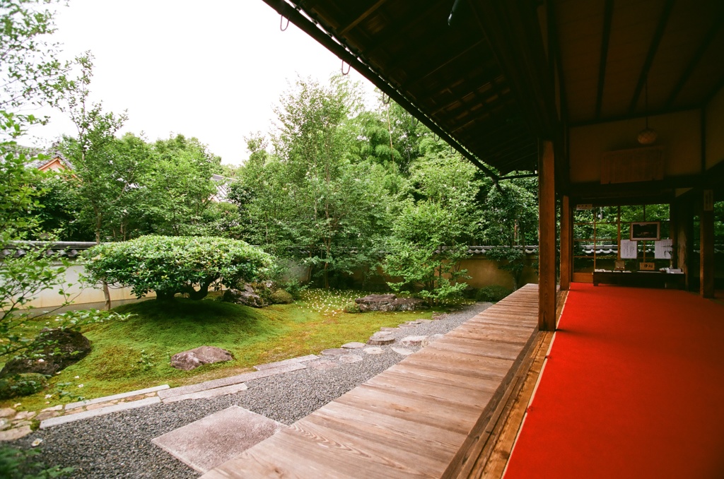 水無月（6月）の花・東林院