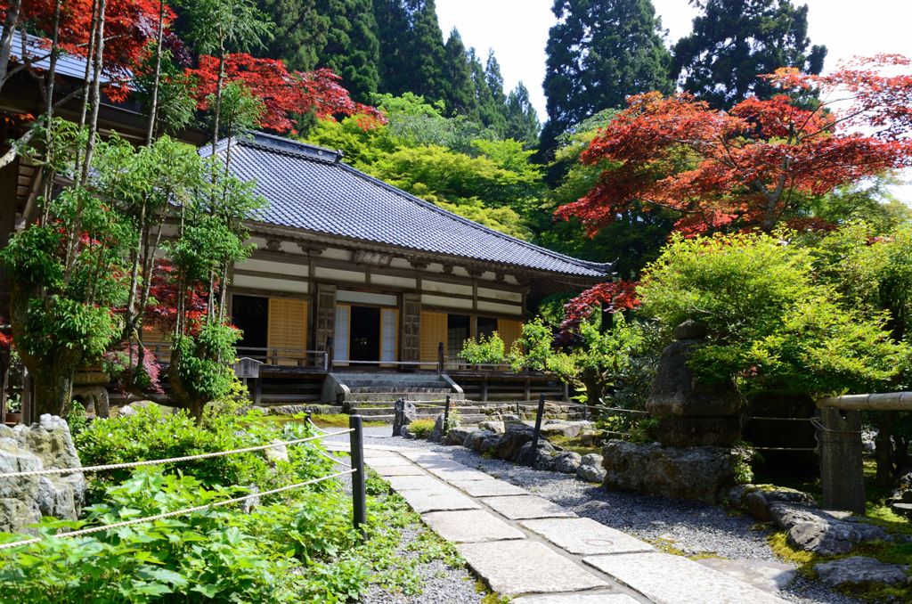 古知谷・阿弥陀寺３