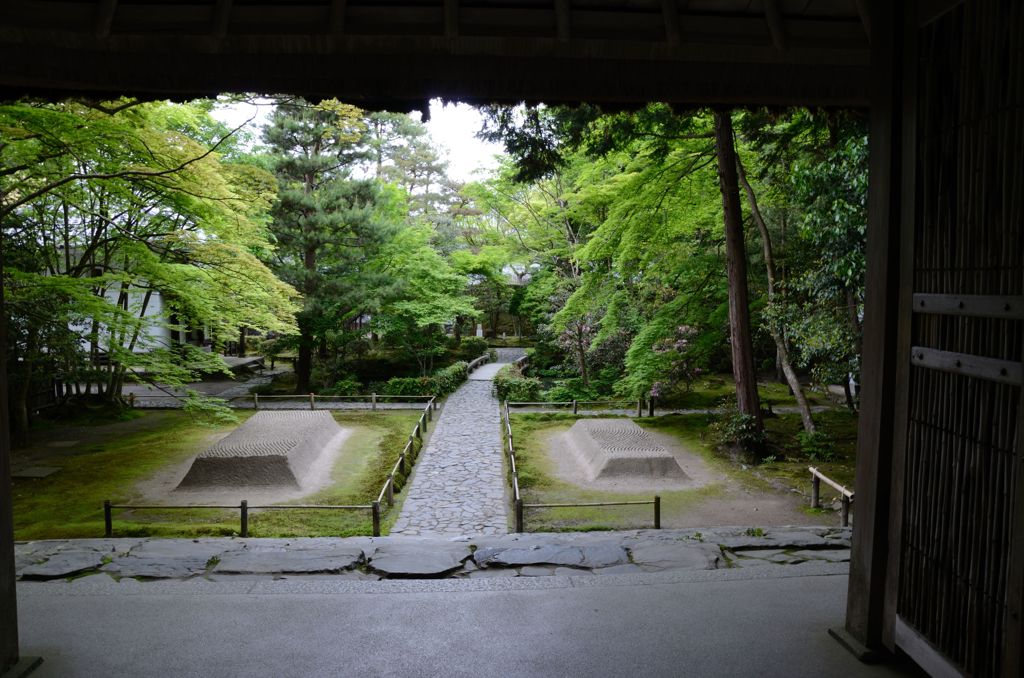 新緑の京都・法然院3