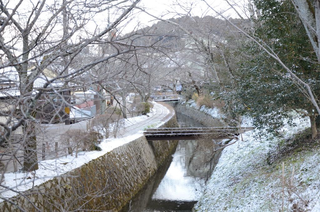 そうだ京都を写そう！哲学の道