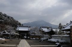 そうだ京都を写そう！妙満寺７