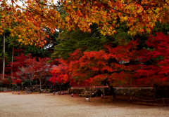 洛秋の宴【神護寺　その３】