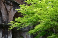 新緑の京都・南禅寺2