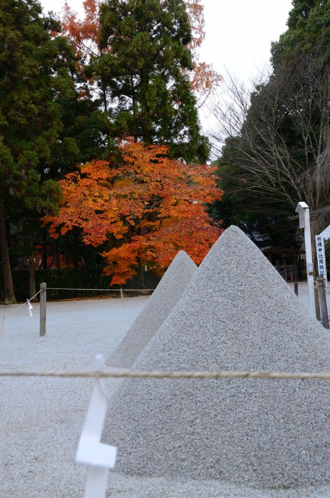 そうだ京都を写そう！上賀茂神社