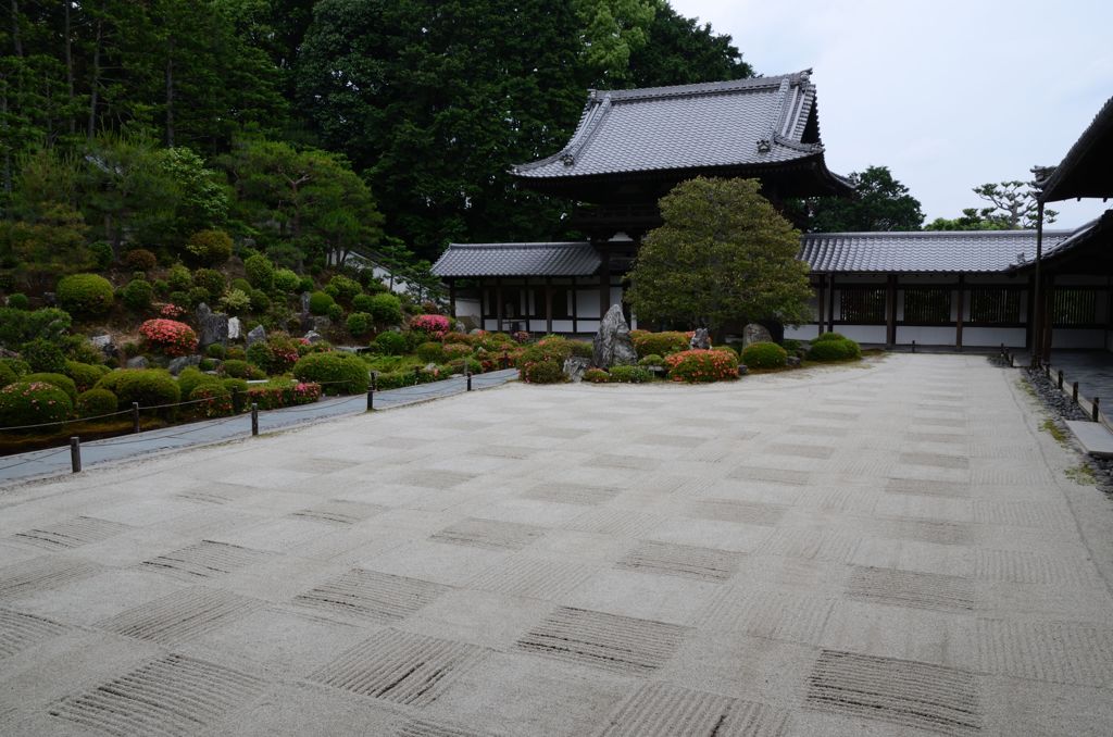 初夏の東福寺３