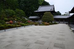 初夏の東福寺３