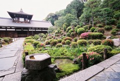 初夏の東福寺４