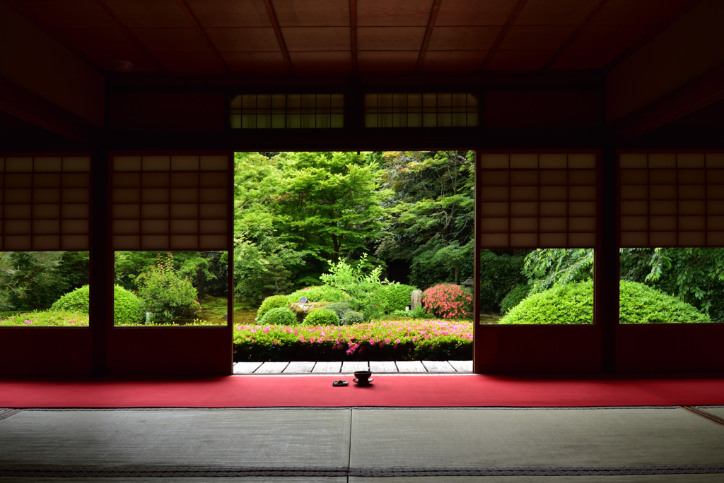 幸甚の一服【雲龍院】