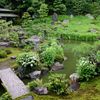 水無月（6月）の花・両足院３