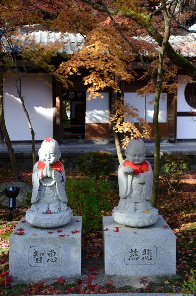 そうだ京都を写そう！永観堂６