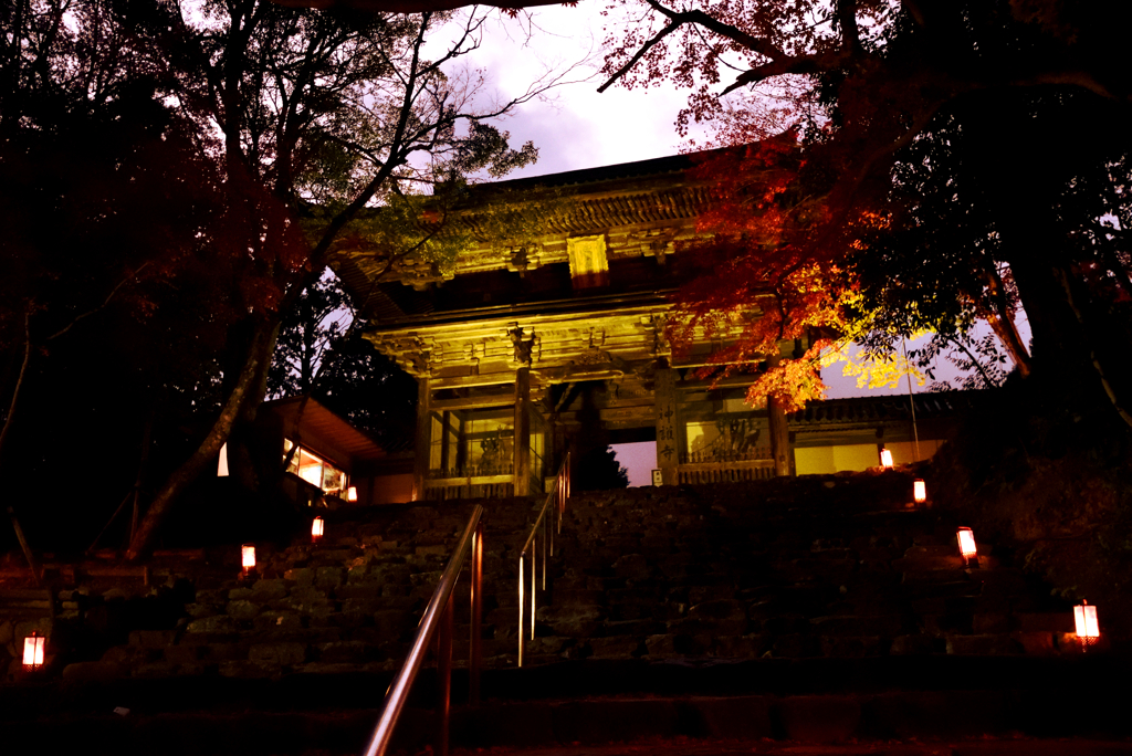 洛秋の宴【神護寺　その５】