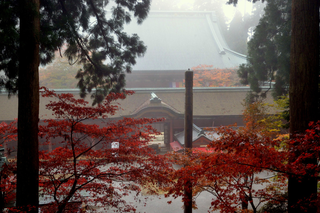 比叡の白秋【延暦寺・根本中堂】