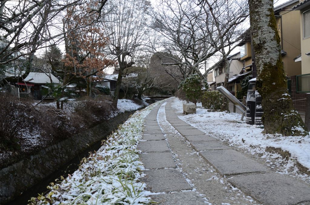 そうだ京都を写そう！哲学の道２