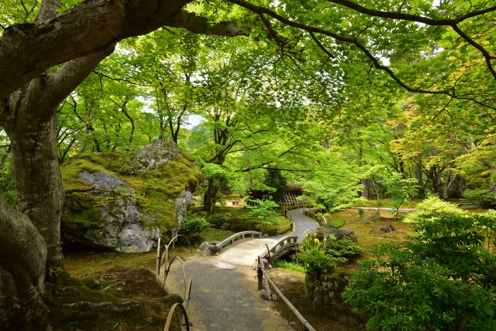 緑風の庭【宝厳院】