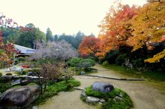 春秋混合の庭・実光院