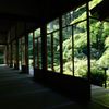 新緑の三千院