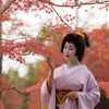 秋を愛でる【祇園甲部　紗矢佳さん】