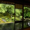 新緑の瑠璃光院５