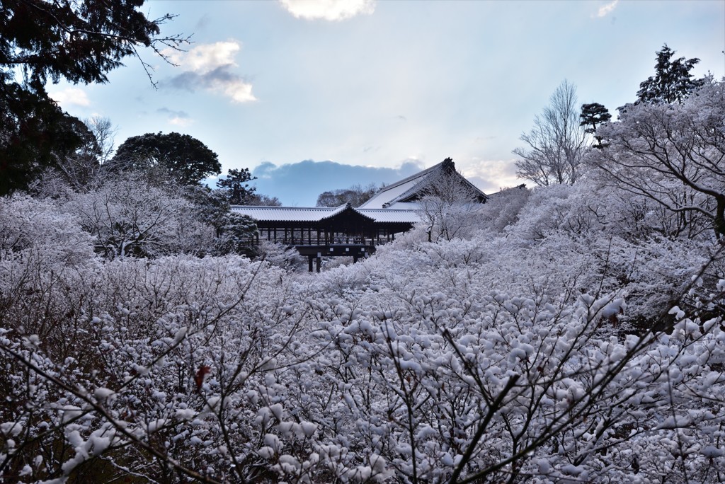 白河の天橋【東福寺】