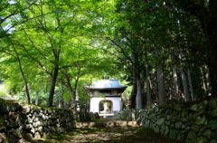 古知谷・阿弥陀寺