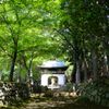 古知谷・阿弥陀寺