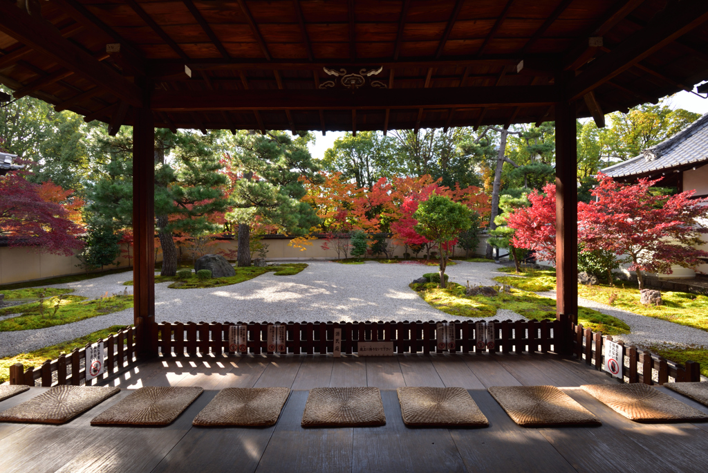 式部の秋【蘆山寺】