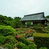等持院・皐月４