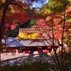 錦色の鳥居本【平野屋】