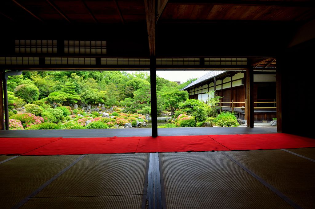 等持院・皐月
