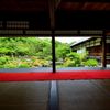 等持院・皐月