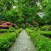 安楽寺・皐月