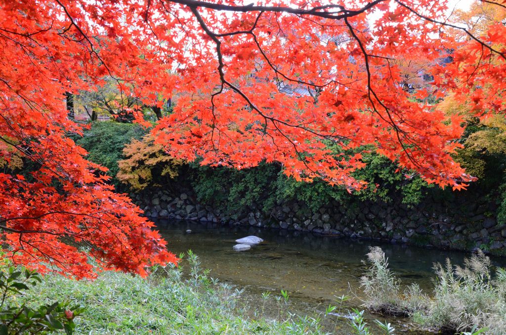 そうだ京都を写そう！八瀬２