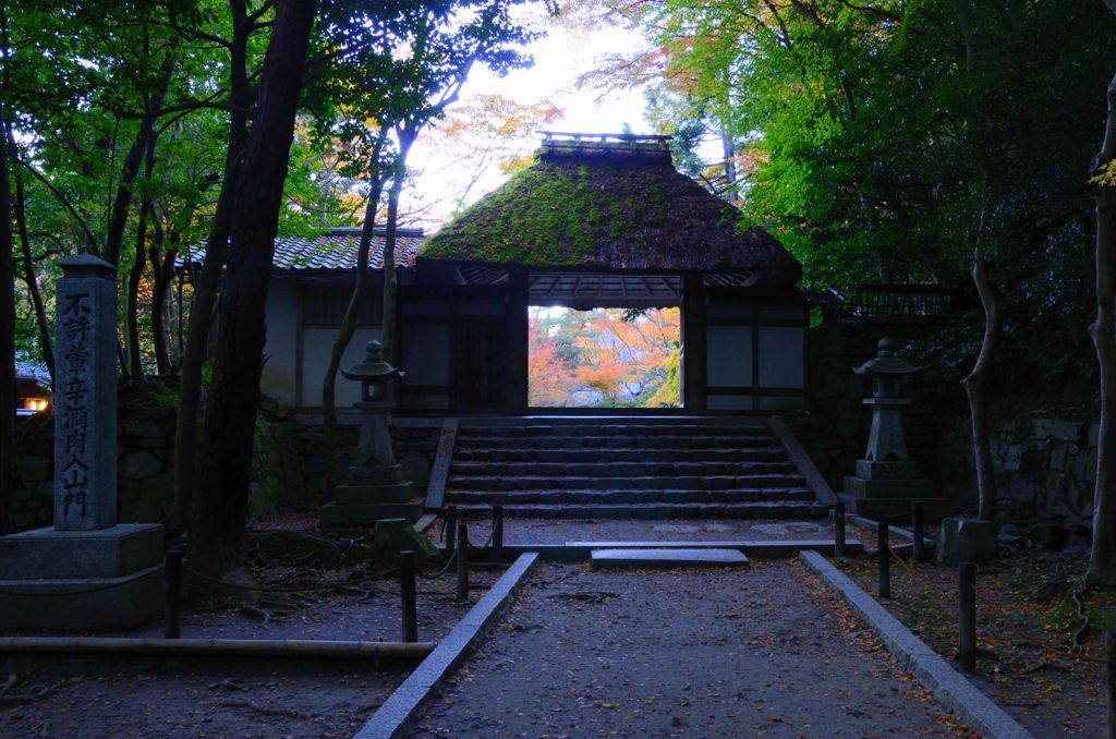 そうだ京都を写そう！法然院