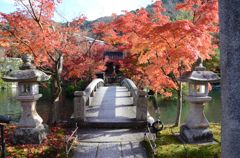 そうだ京都を写そう！永観堂５