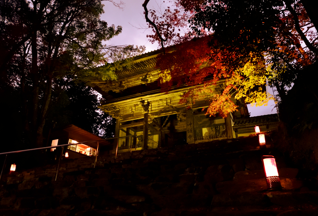 洛秋の宴【神護寺　その４】