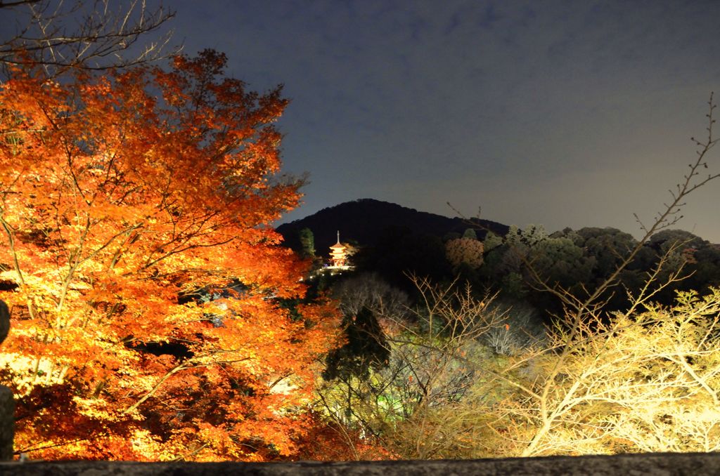 そうだ京都を写そう！清水寺３