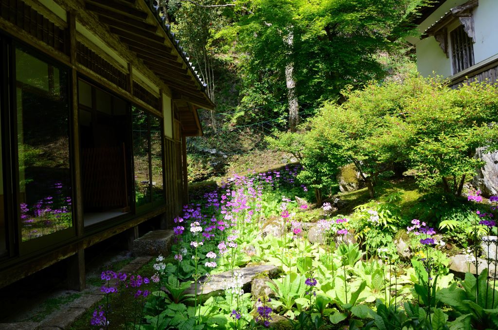 古知谷・阿弥陀寺６