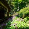 古知谷・阿弥陀寺６